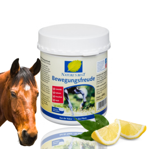 MSM Nature’s Best “Bewegungsfreude” 600g