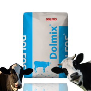 Dolmix BM Rozród Start – mieszanka paszowa dla krów mlecznych, 20 kg