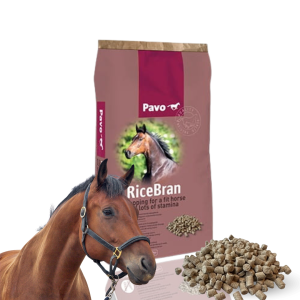 Pavo RiceBran 20 kg – Otręby ryżowe dla koni