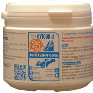 PROTEINA 66% białko zwierzęce dla gołębi OVIGOR