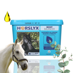 Horslyx Mint Masa Energetyczna Dla Koni W Formie Bloków 5kg