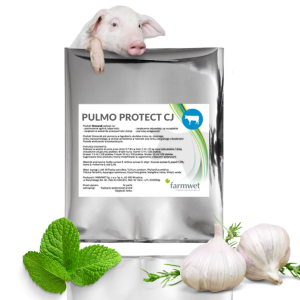 Pulmo protect CJ a wsparcie układu oddechowego i trawiennego 1 kg