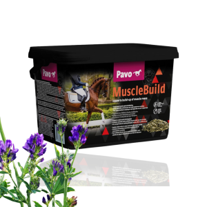 Pavo MuscleBuild 3kg Refill – Dla silnego i umięśnionego konia 3 kg