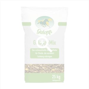 Galopp Mix Mieszanka Paszowa Uzupełnijająca Dla Koni 25kg