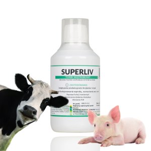 Superliv Tonik Wątrobowy dla drobiu kur niosek kaczek gołębi Farmwet 250ml