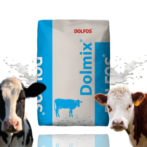 DOLMIX BT Mieszanka dietetyczna 2 kg – Ochrona przed tężyczką pastwiskową