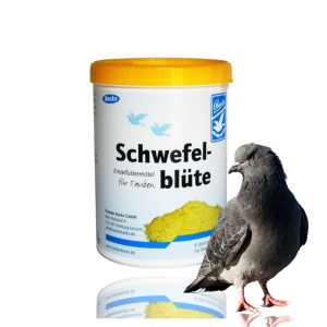 Schwefelblüte wspomaga toworzenie upierzenia