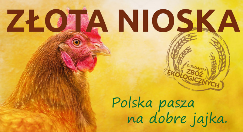 Naturalne żywienie kur niosek , dobra pasza dla kur nioski DJ Złota z Lucerna i Ziemniakiem Neorol 25kg